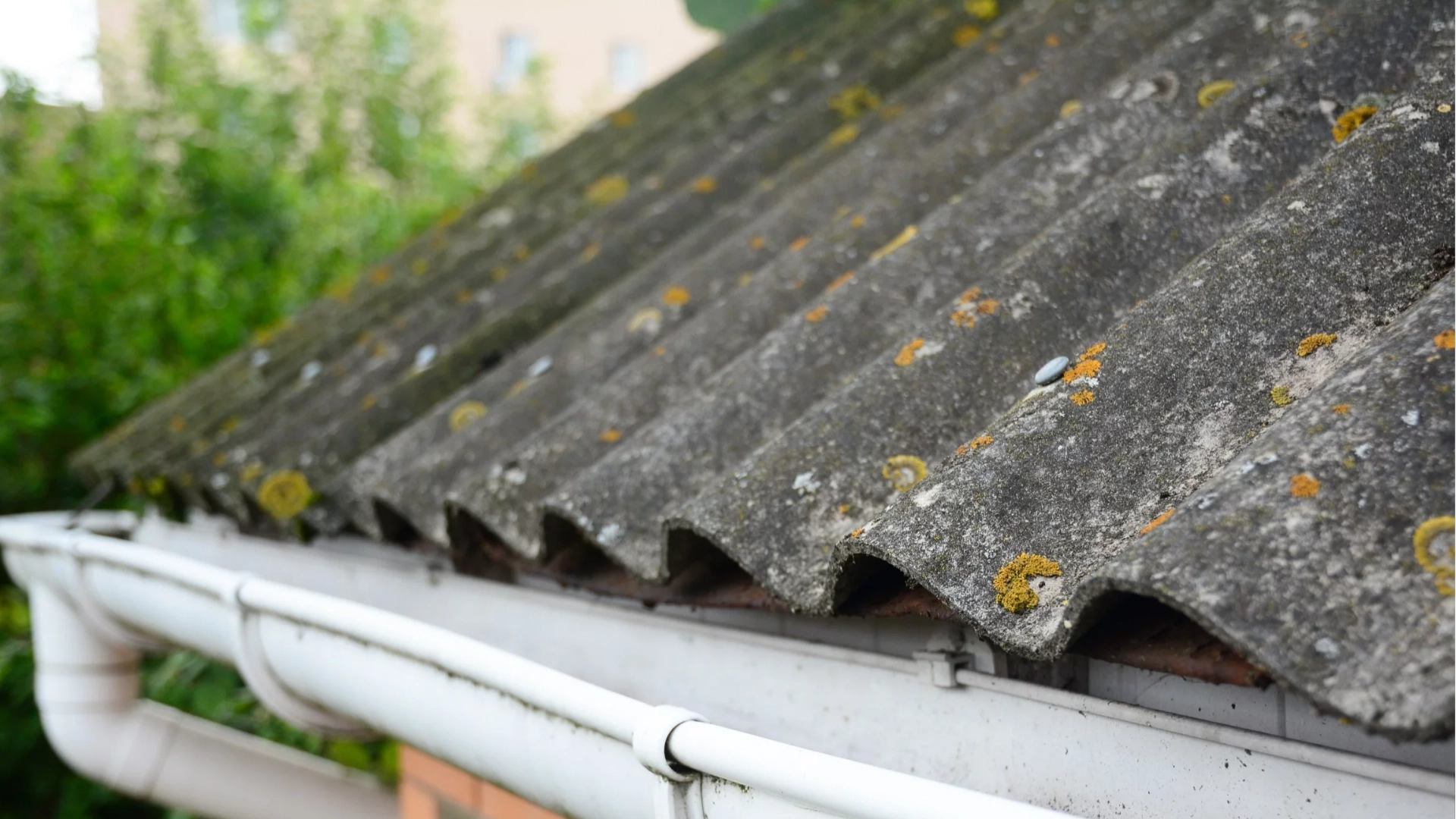 Stary dach pokryty płytami azbestowymi (eternitem) w Szczecinie