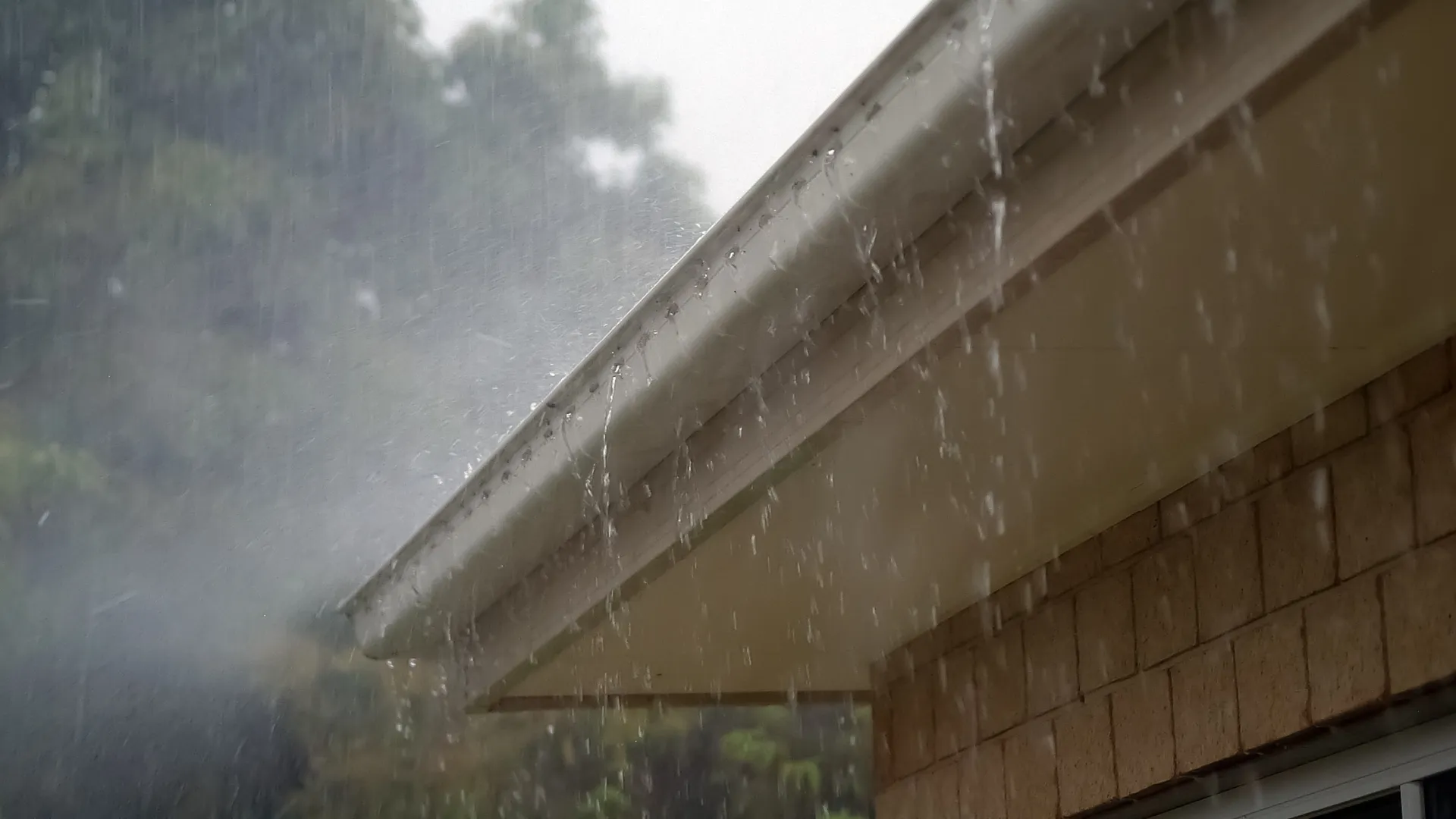 Podatek od deszczu w 2026 roku – wszystko, co musisz wiedzieć